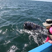 IMG 0001 2 (258)